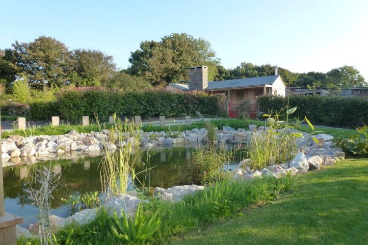 Garden and pond of Woodcutter's Cottage in Cornwall - Residential Architects in Cornwall, Truro